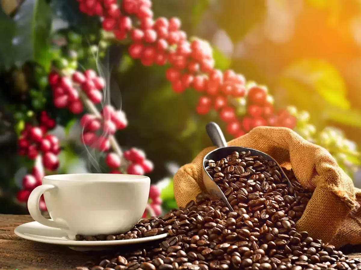 EXCELLENCE IN EXPORT OF UNROASTED COFFEE | WHITE KIDNEY BEANS | SESAME SEEDS.